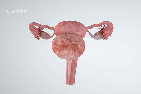 女性卵巢保养的几个小技巧