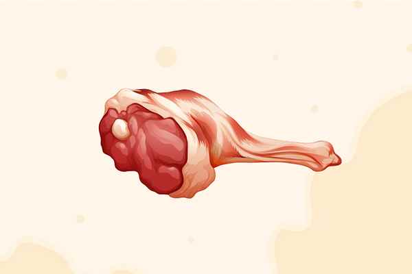 病人补血吃什么食物最好