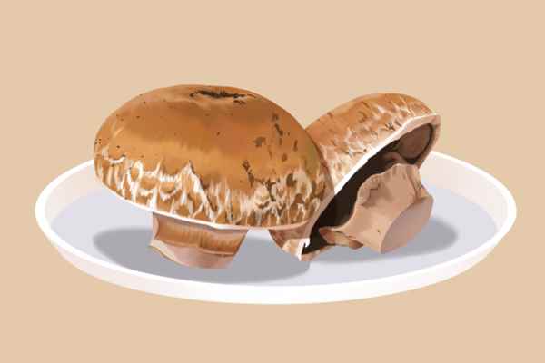 病人补血吃什么食物最好