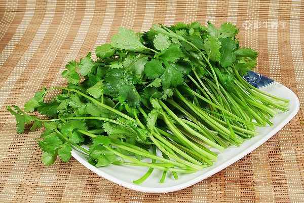 香菜2.jpg 吃香菜有什么好处