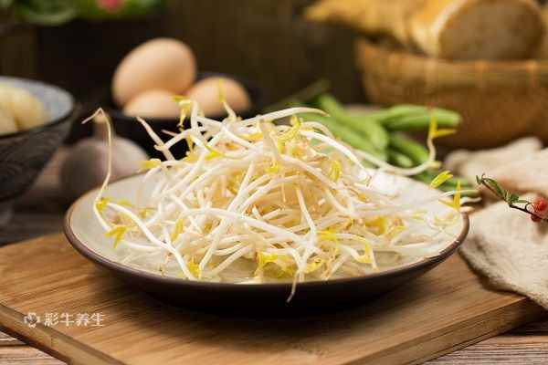 绿豆芽3.jpg 豆芽的功效与作用