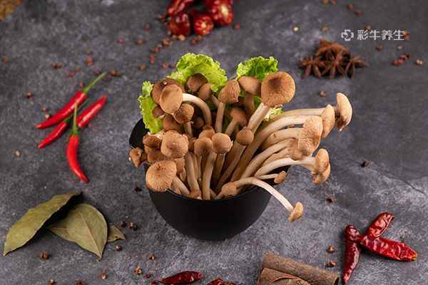 干茶树菇3.jpg 干茶树菇要泡多久