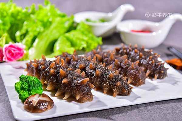 海参4.jpg 食用海参的好处有哪些