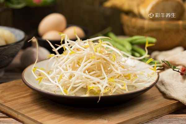 绿豆芽3.jpg 去体内湿气的食物有哪些