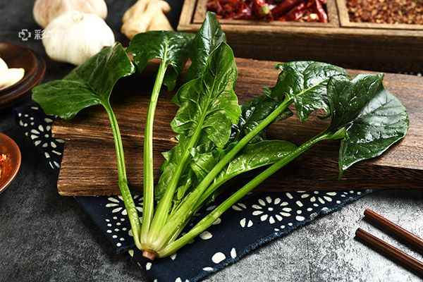 菠菜的营养价值2.jpg 便秘吃什么才能通便