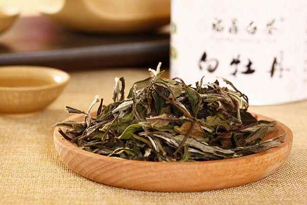 老白茶1.jpg 喝白茶有什么好处和坏处