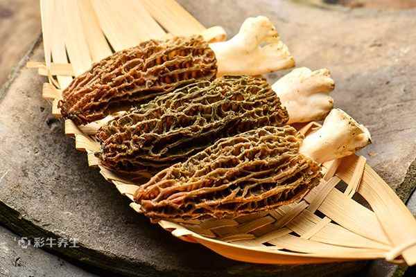 羊肚菌1.jpg 干羊肚菌泡发时间