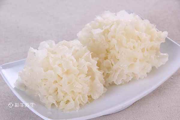 银耳4.jpg 雪蛤的做法与吃法有哪些