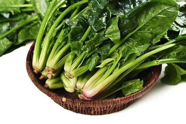 菠菜5.jpg 痔疮吃什么食物好得快