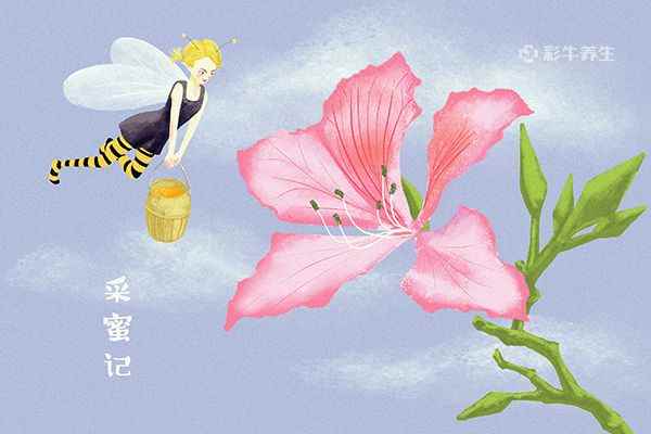 花粉能吃吗(花粉可以吃吗)