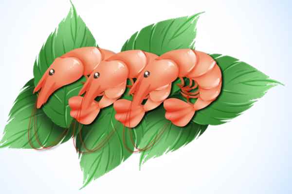 含维生素D的食物来源有哪些(怎么补充维生素D)