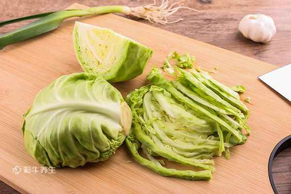 幽门螺杆菌1.jpg 卷心菜的功效与作用