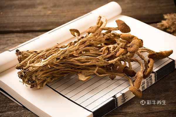 干茶树菇1.jpg 干茶树菇要泡多久