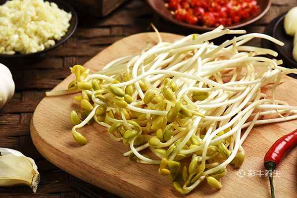 黄豆芽1.jpg 吃完螃蟹吃什么驱寒