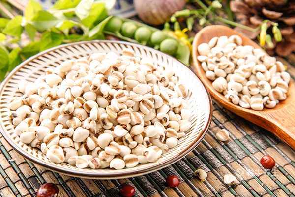薏米1.jpg 血糖高吃什么好食物好