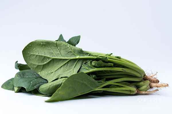 菠菜的营养价值3.jpg 什么食物对眼睛视力有帮助