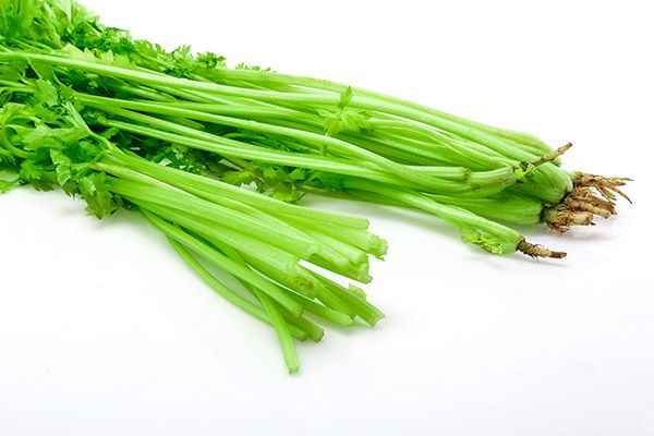 芹菜3.jpg 血压高吃什么降压最快
