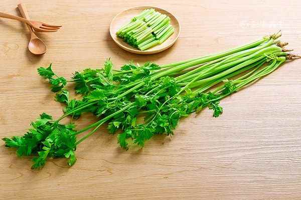 芹菜1.jpg 芹菜叶的功效与作用