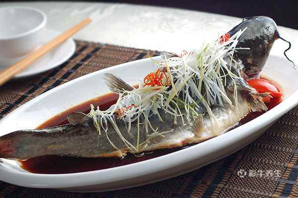 什么食物补肝最好最快