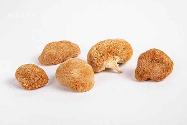 猴头菇3.jpg 猴头菇的食用方法