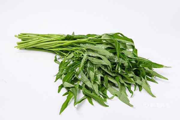 空心菜1.jpg 高尿酸吃什么食物好