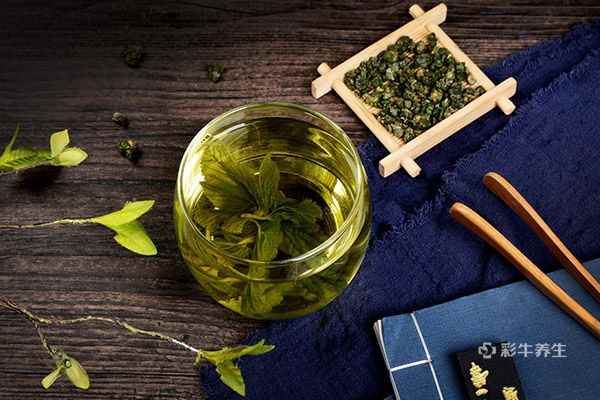桑叶泡水喝1.jpg 喝什么茶降低血糖