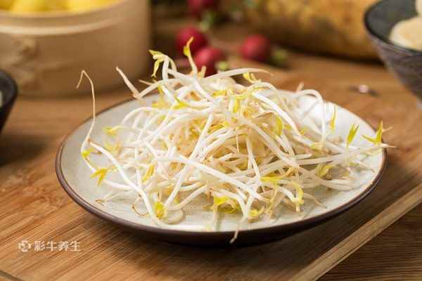 绿豆芽1.jpg 去湿气的食物有哪些