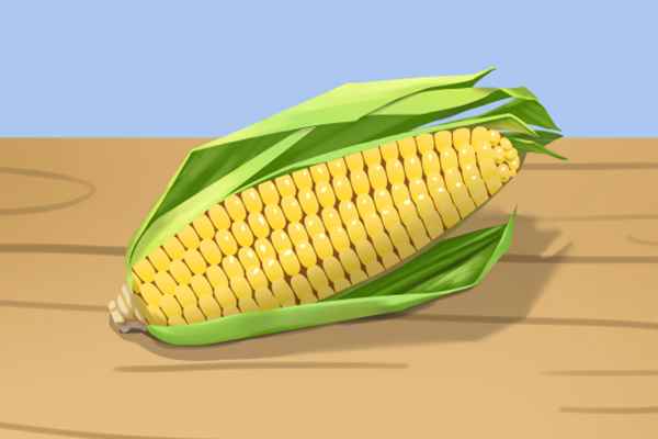玉米2.jpg 玉米的功效与作用及营养价值