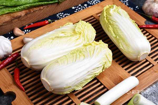 娃娃菜2.jpg 娃娃菜的功效与作用