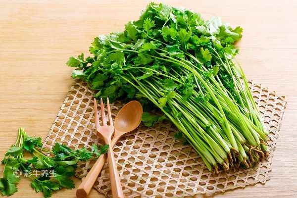 香菜1.jpg 吃香菜有什么好处