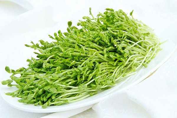 什么食物补肝最好最快