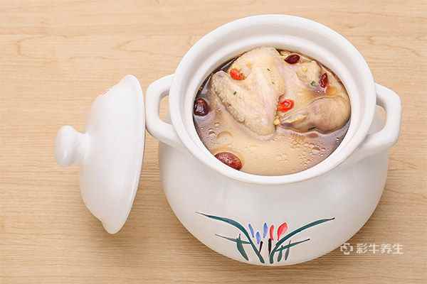 鸽子汤的功效与作用及营养价值