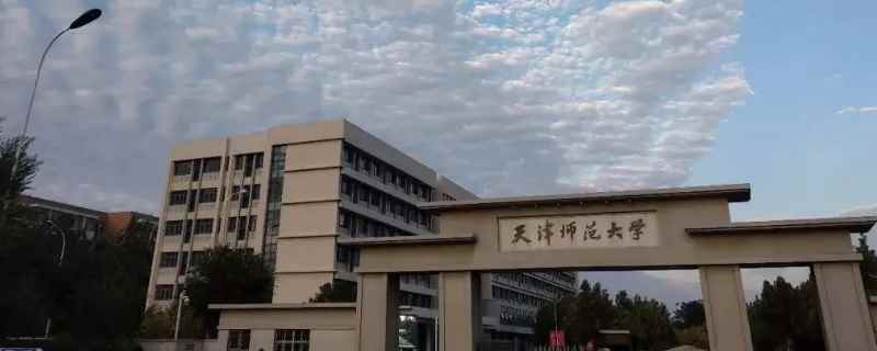 天津师范大学文学院高级职称比例为65