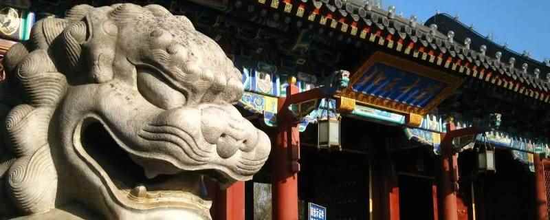 门口有两座铜狮子的大学