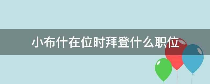 小布什在位时拜登什么职位(小布什在位时拜登是民主党参议员)
