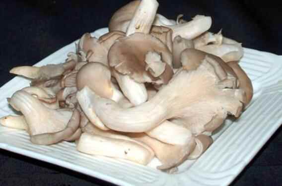 平菇的热量(平菇的营养价值)