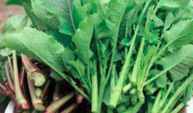 油菜苔怎么吃