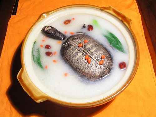 甲鱼汤隔夜可以吃吗