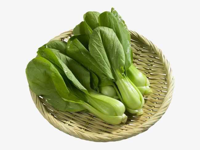 上海青属于寒性食物吗(上海青是寒性食物吗)