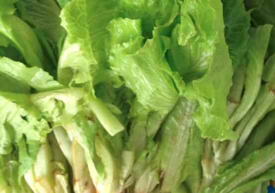 莴苣的菜叶怎么炒