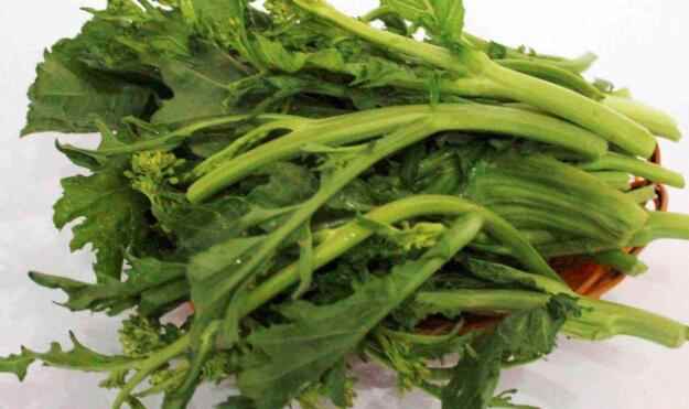 油菜苔的营养价值