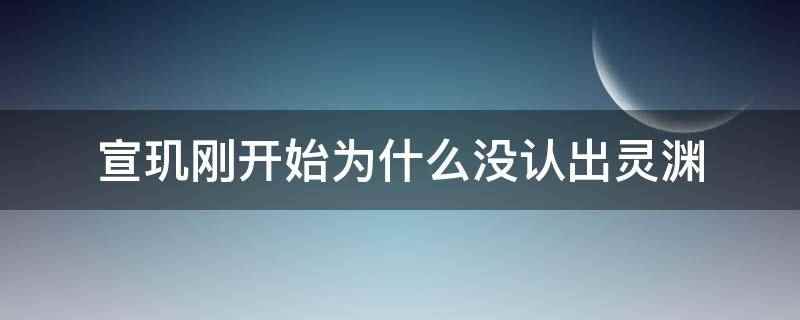 宣玑刚开始为什么没认出灵渊