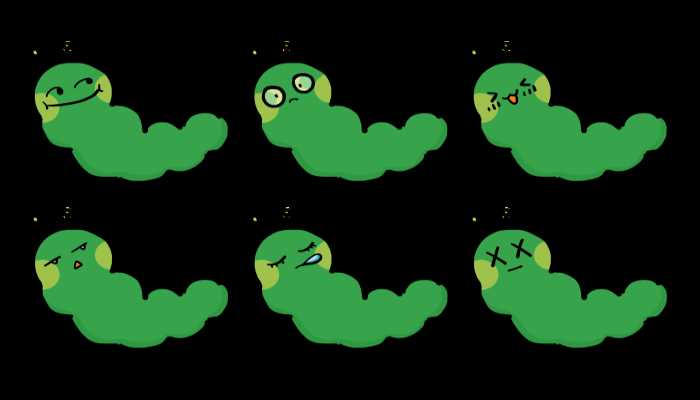 梦见吸血虫