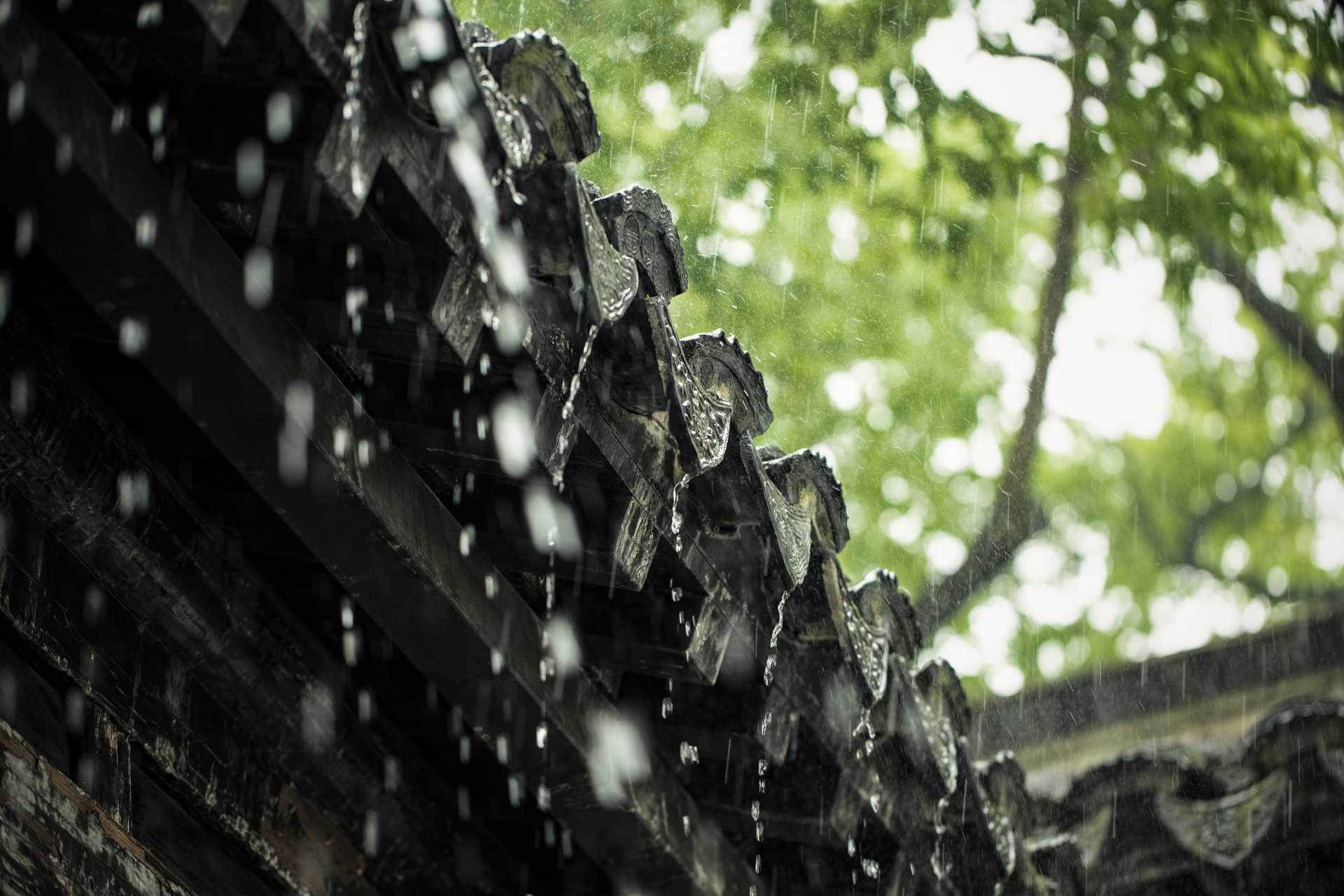 梦到大雨积水什么意思