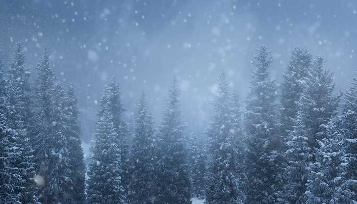 孕妇梦见下雪