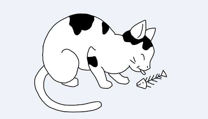 梦见猫吃鱼