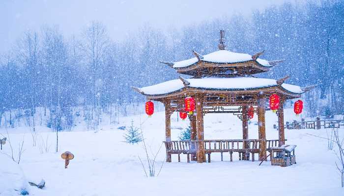 女人梦见白白的雪地预示着最近的运势不错