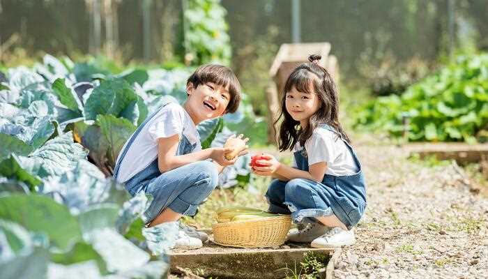 梦见小男孩拉屎