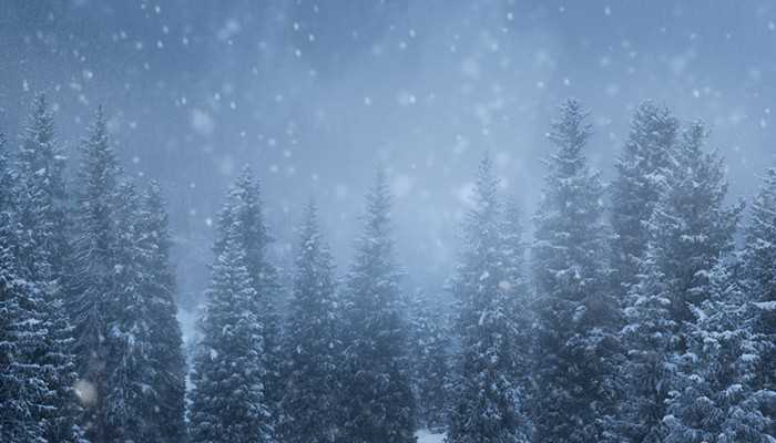 梦见下雪是什么意思?