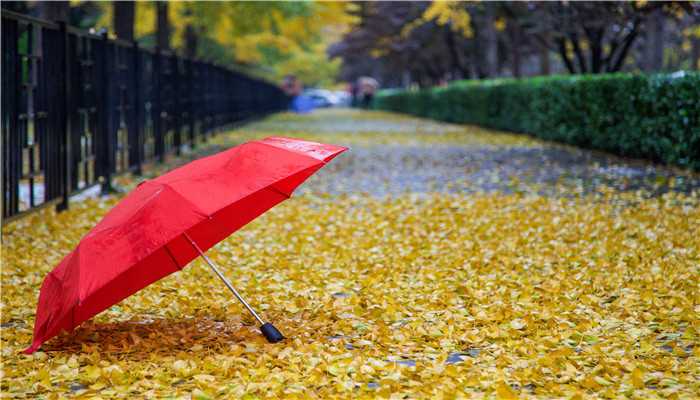 梦到下雨天和别人共撑一把伞是吉兆